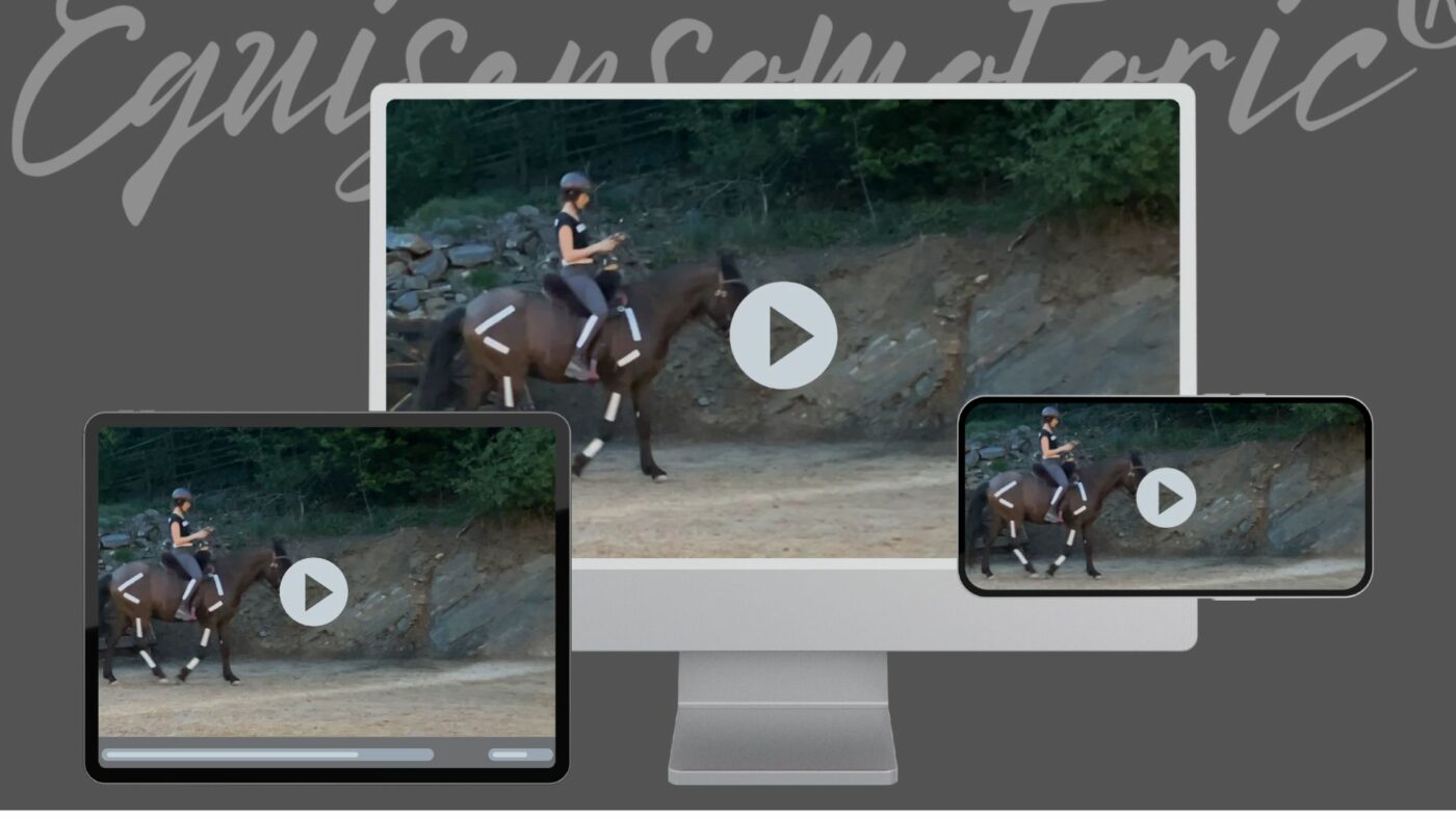 equisensomotoric.com