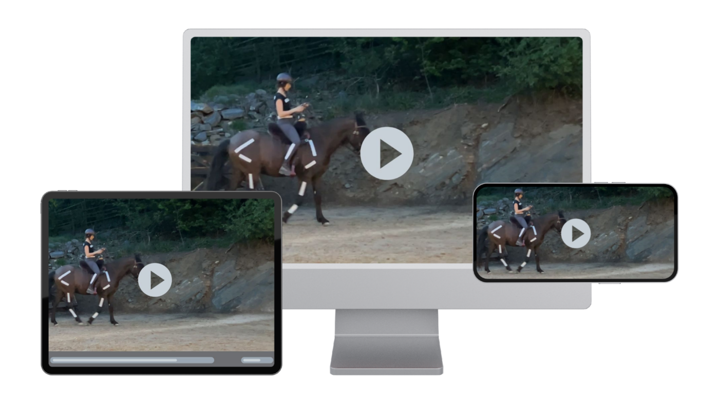 equisensomotoric.com