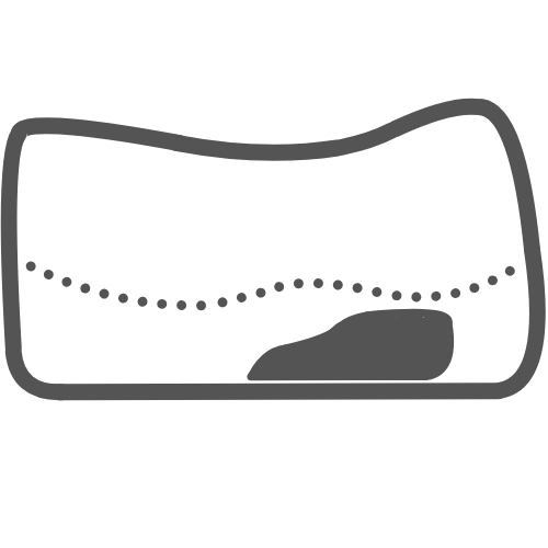 Western Standard