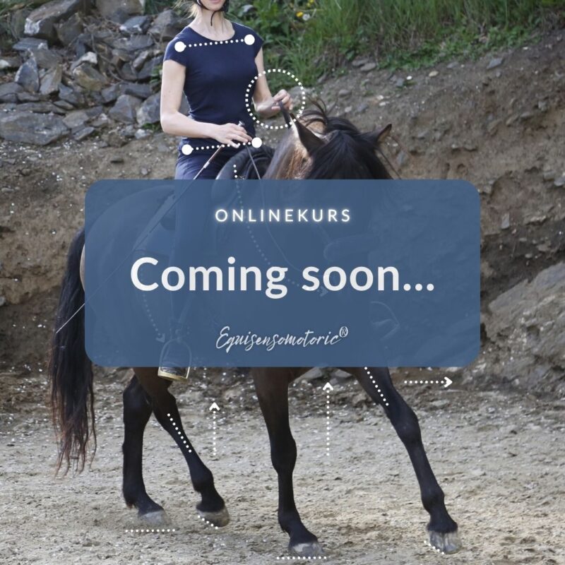 equisensomotoric.com