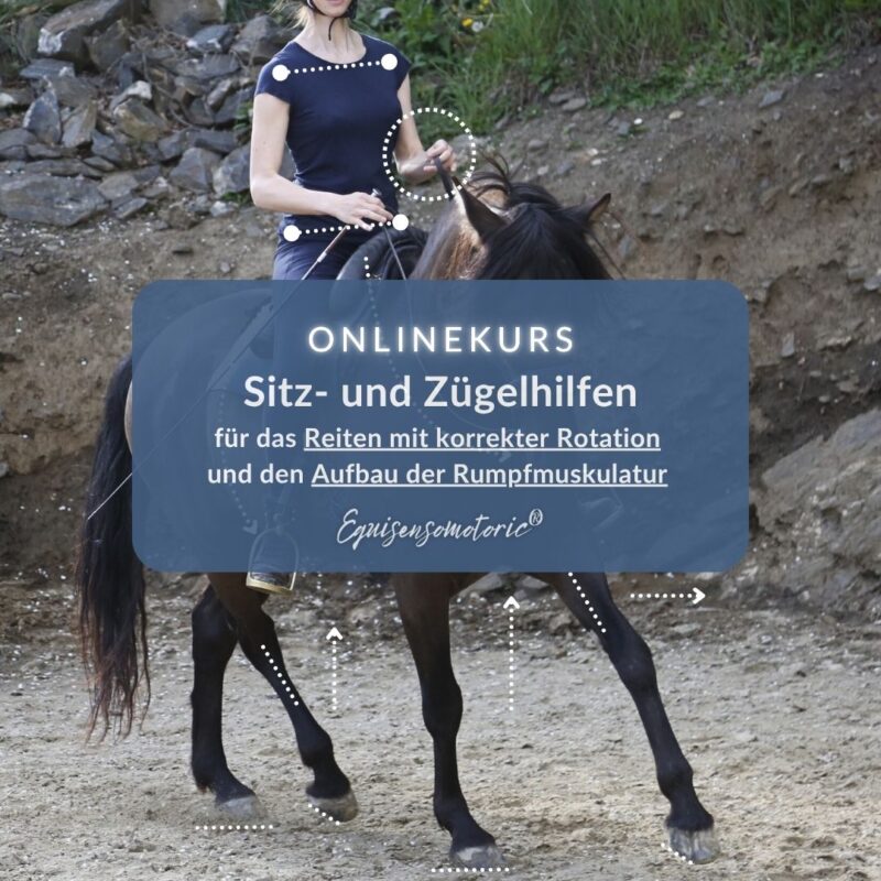 equisensomotoric.com